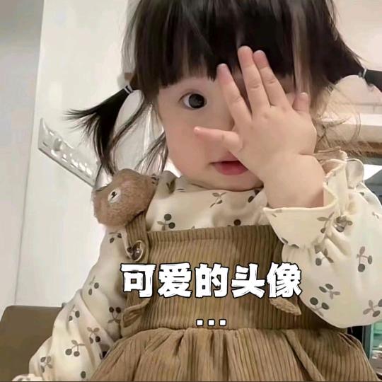 摆烂小呆瓜