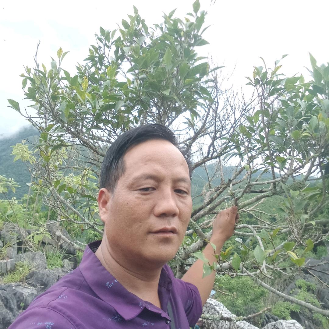 水果小双