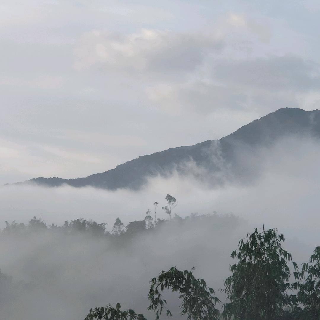 有希望不再失望