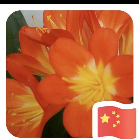 张老师