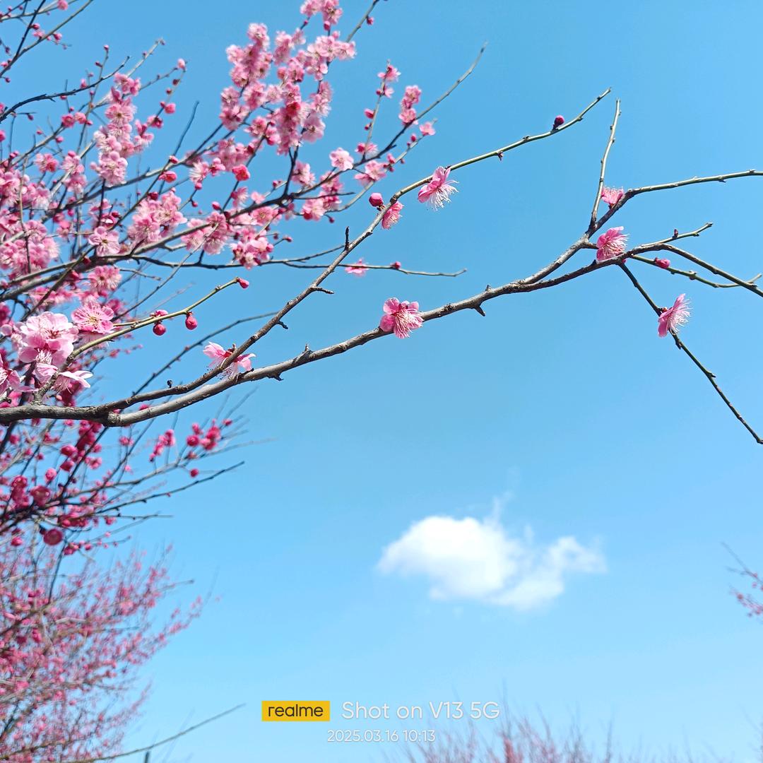 竭靳全力