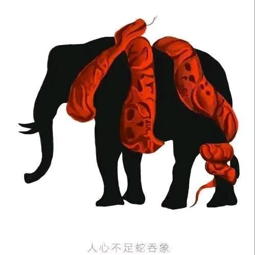 黑粉小赵
