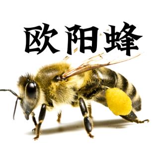 书东坡