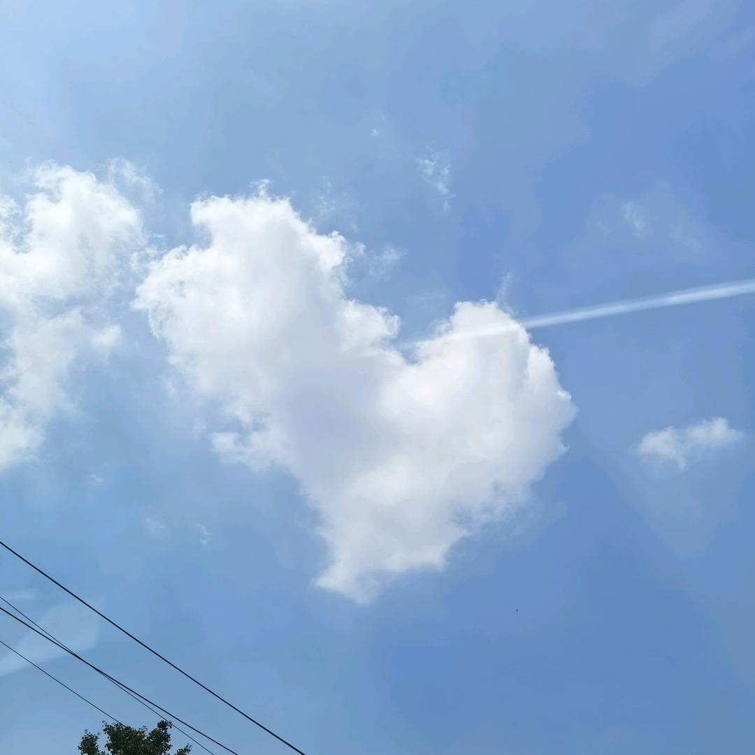 晓甜
