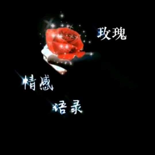 玫瑰情感语录