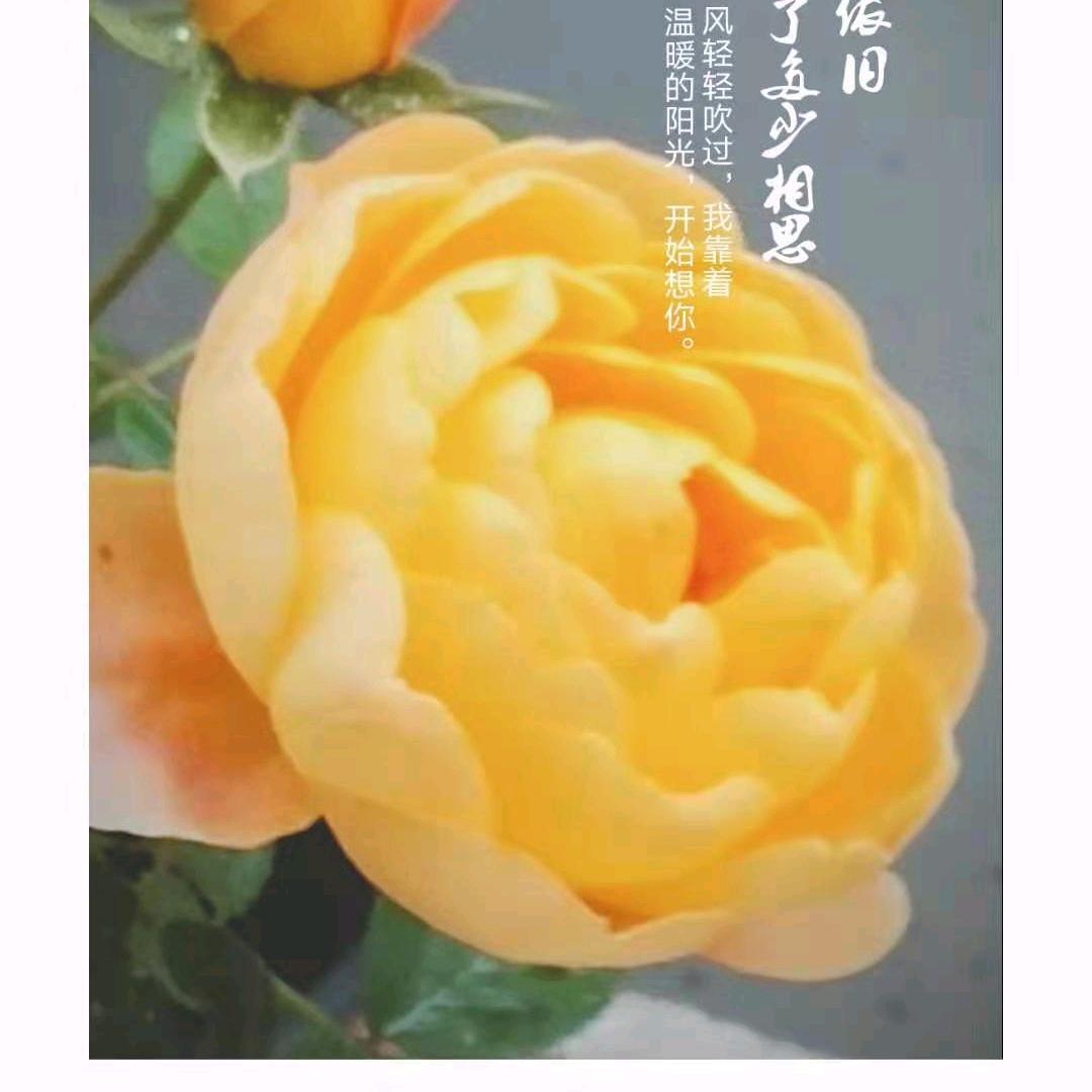 封心❤️锁爱、
