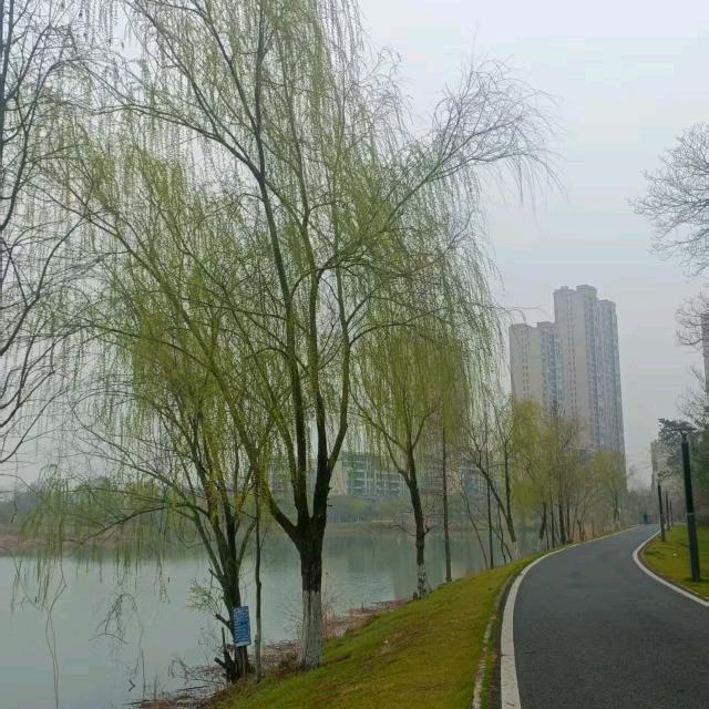 万水千山