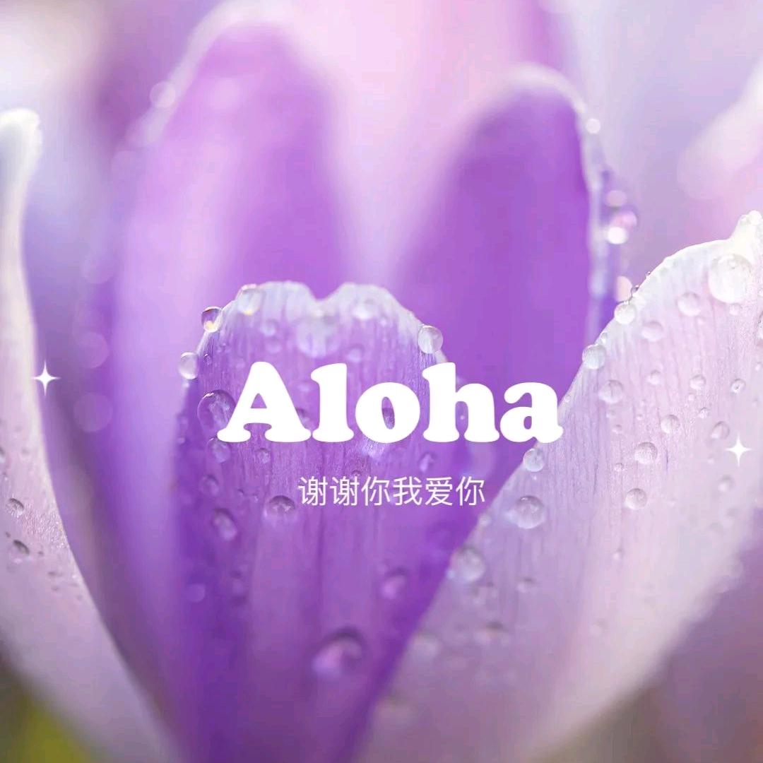 麦华·女性成长