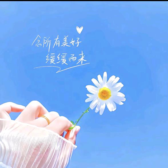 芯淳