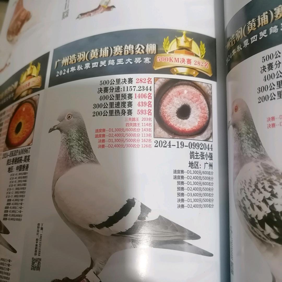 王