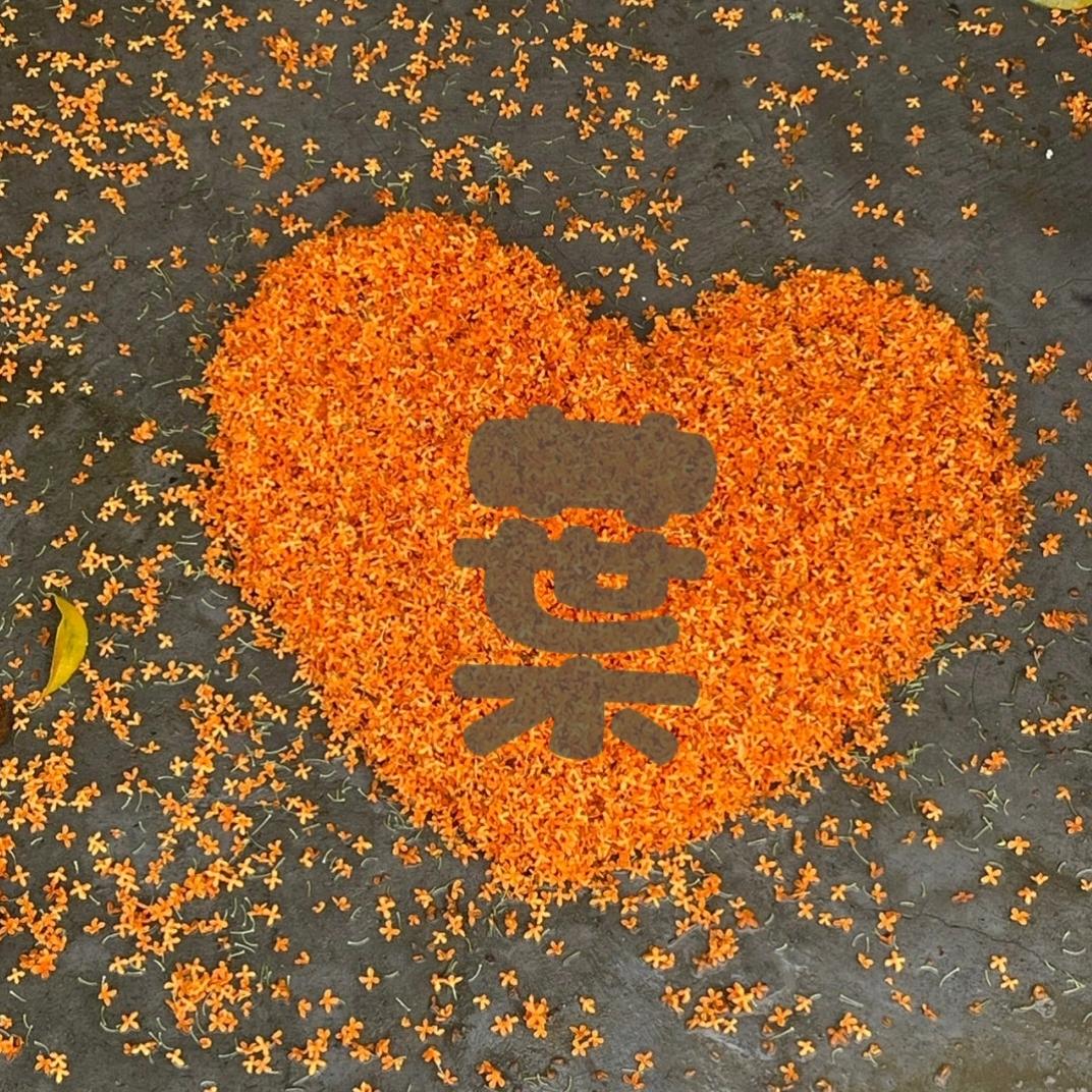 安居樂葉