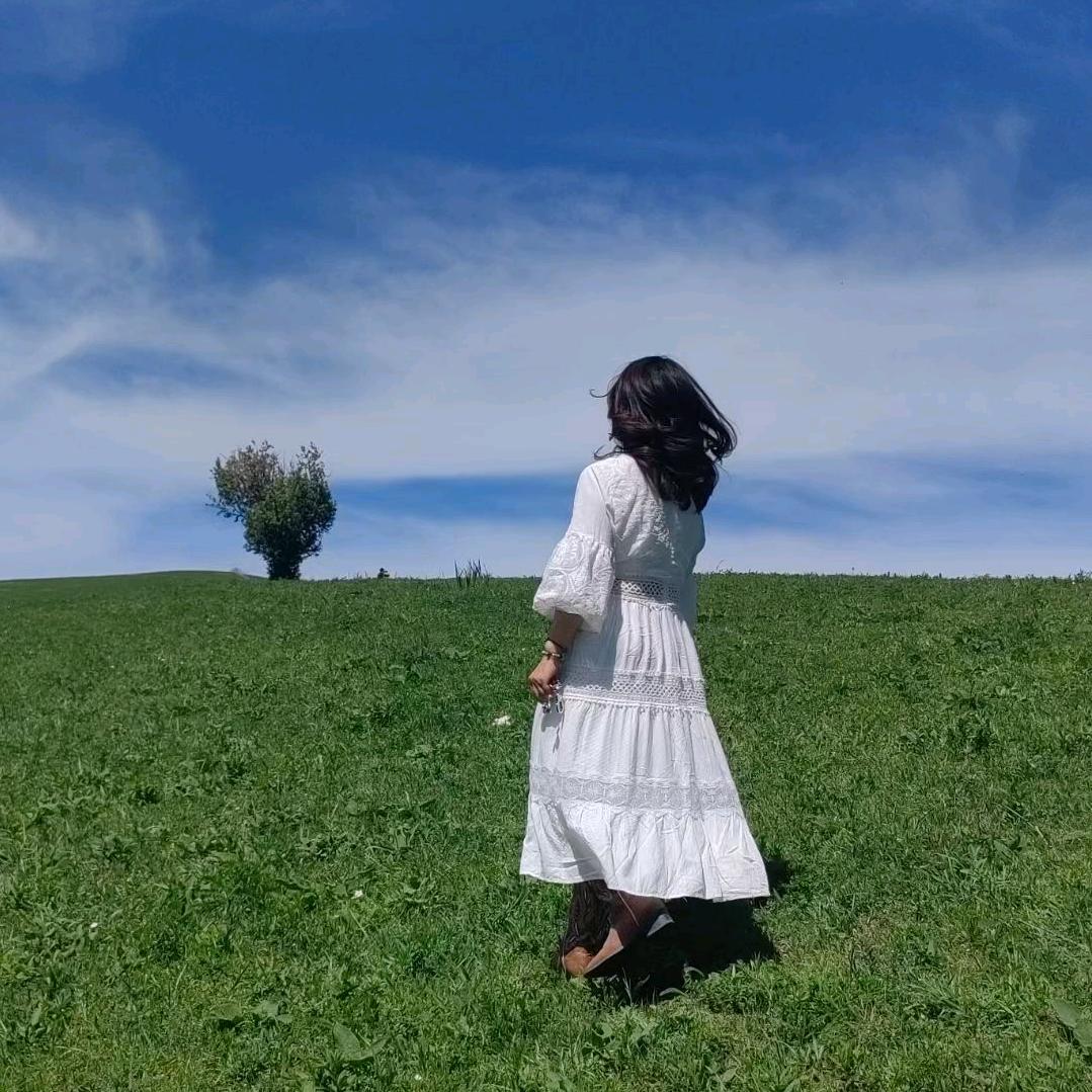 曾 🌻