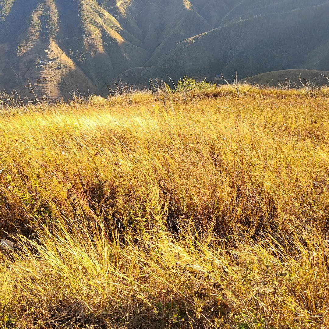 绵阳风哥百人防水战队