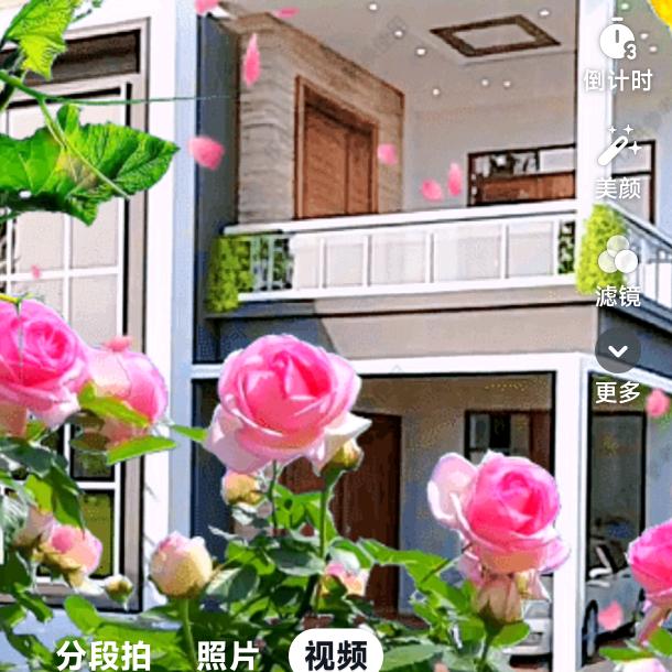 风雨过后
