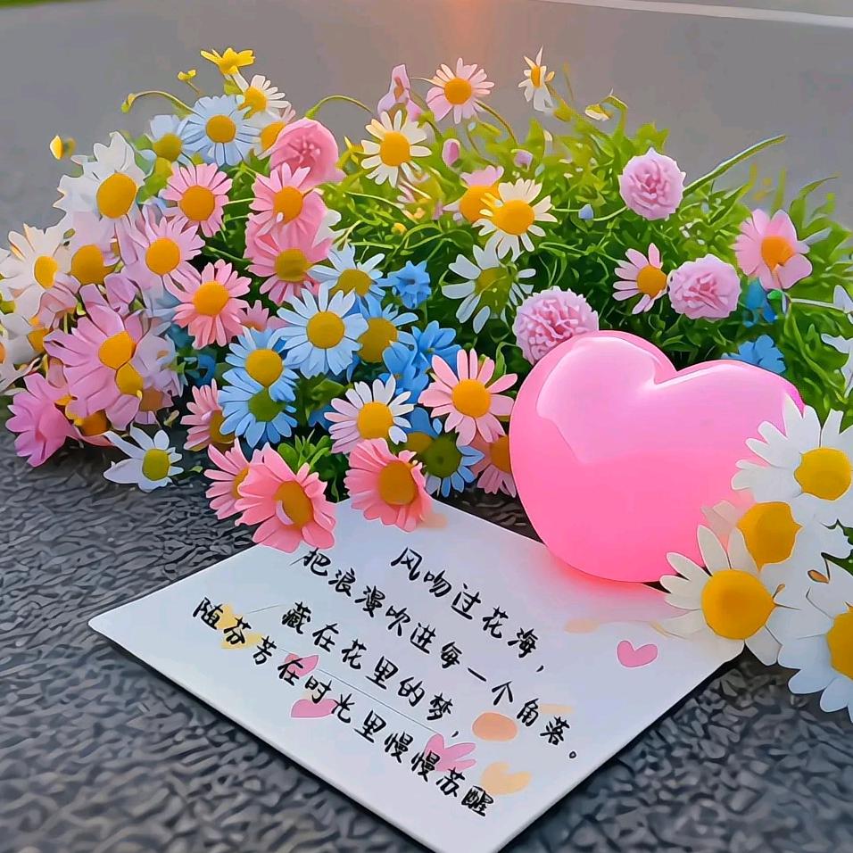 薇萧～向暖💃💃