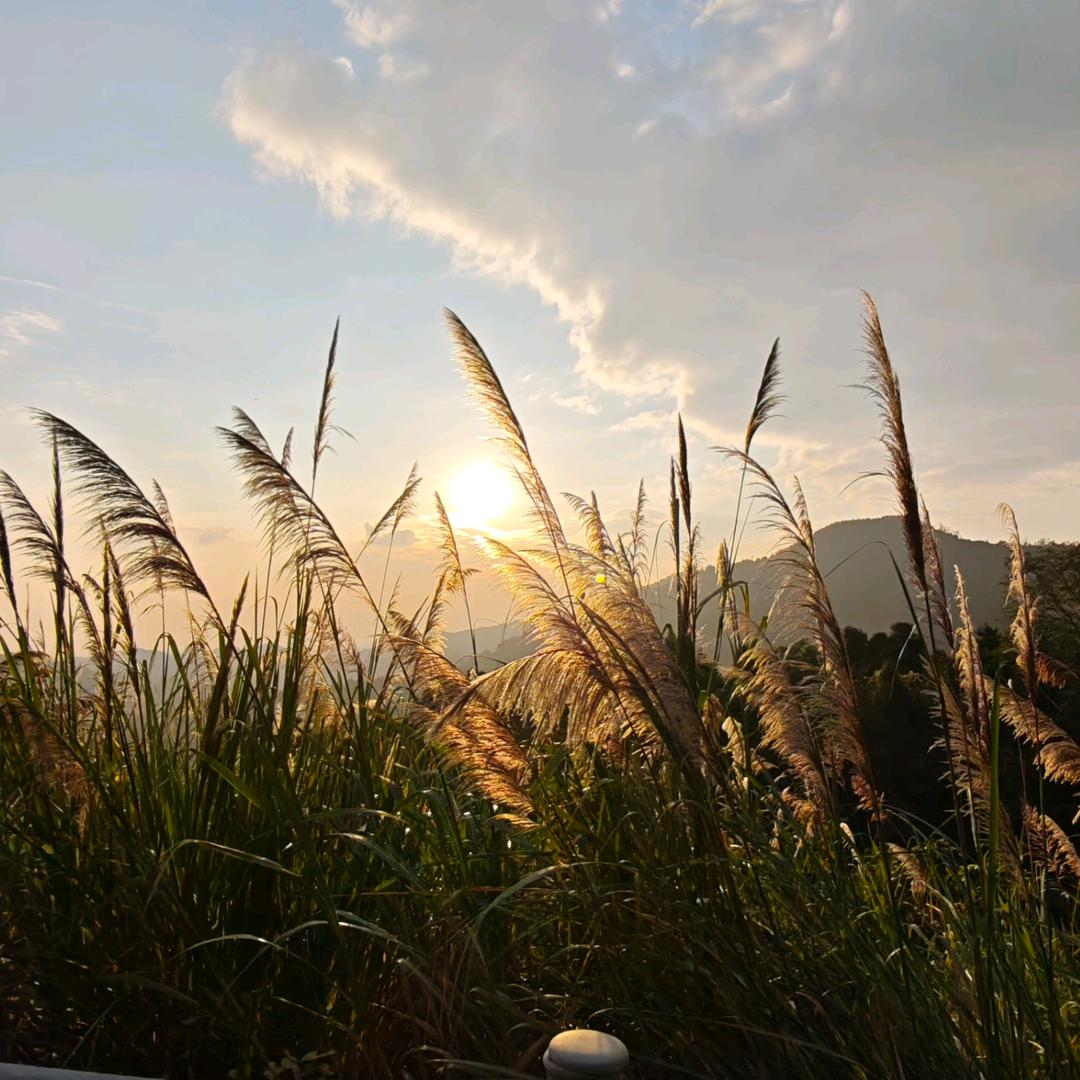 清沐