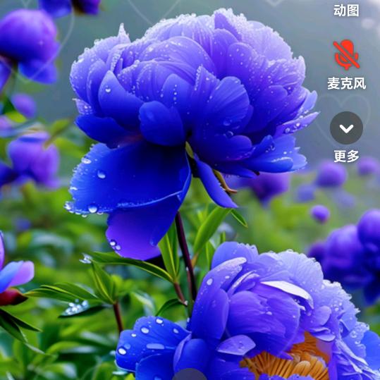 心想事成