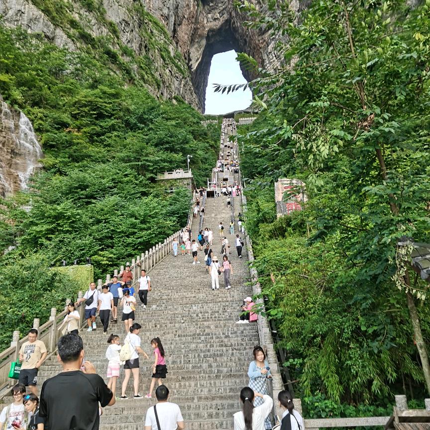 抖