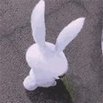 勇往直前吴伟华狼的精神