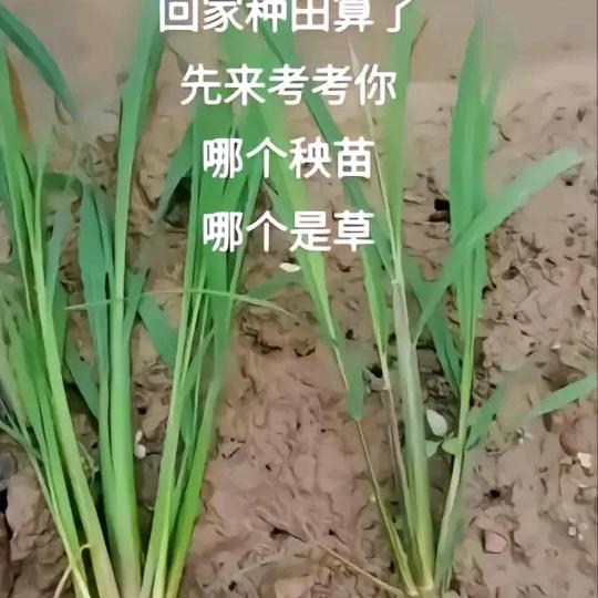 大汉时代广场一品鲜