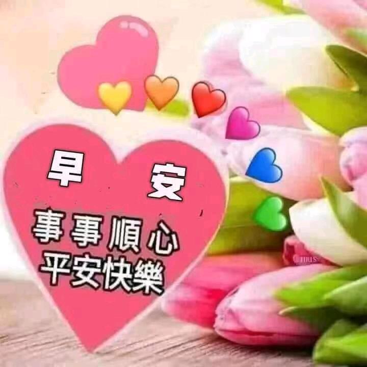 秋天的红叶