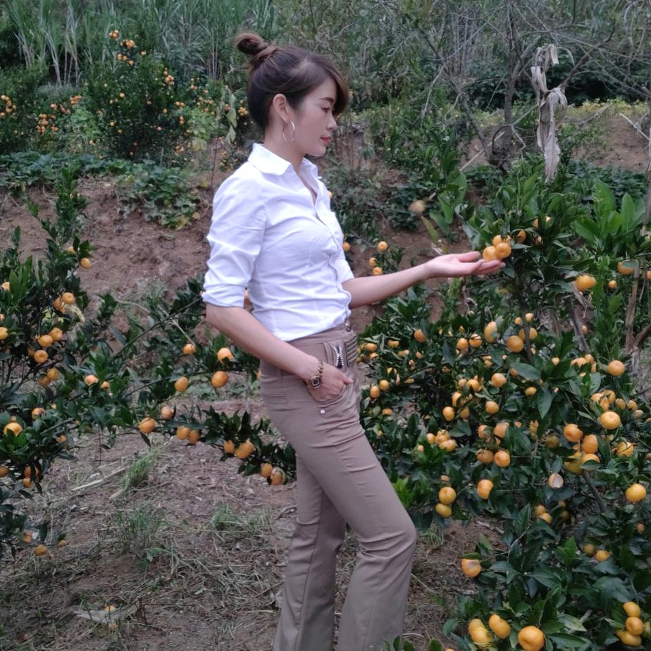 杨桂英