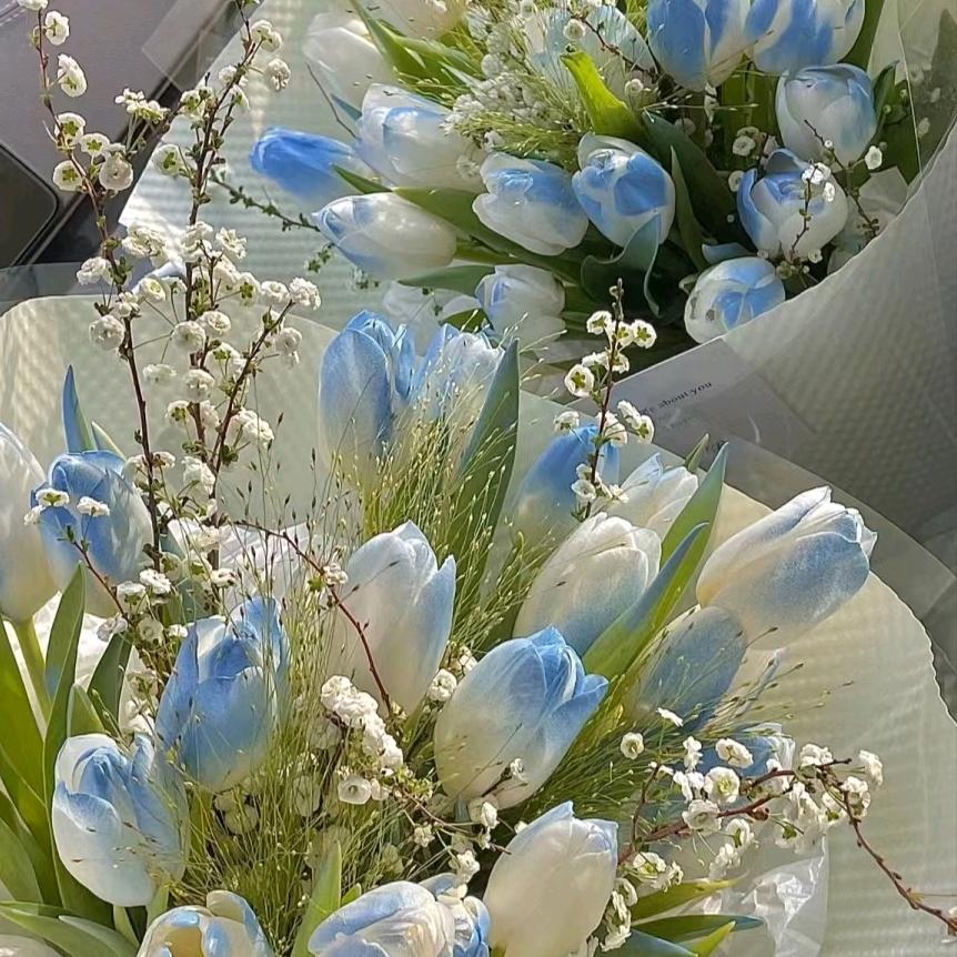 淑女不是姐的范