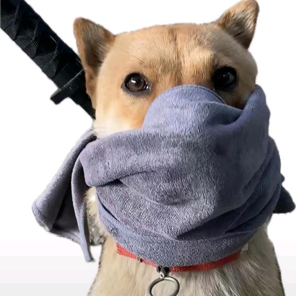 火龙果我吃吃吃
