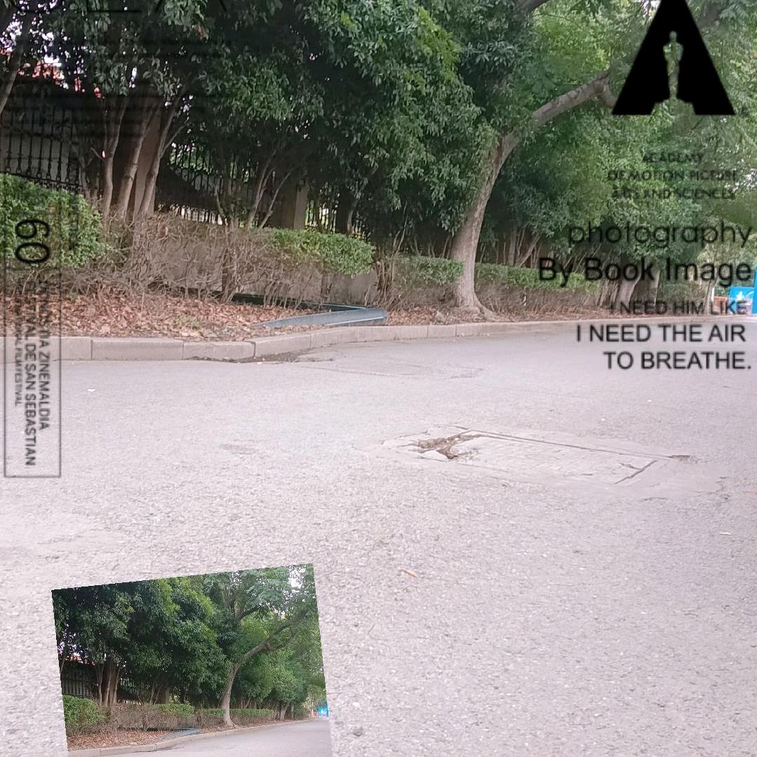 人心都是肉长得，没有人理解我的苦