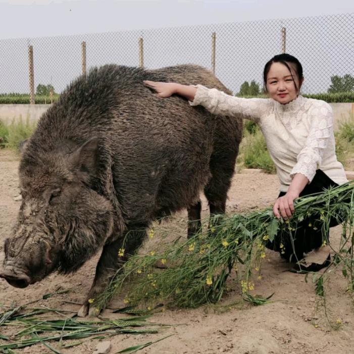 嘉祥县本忠养殖场