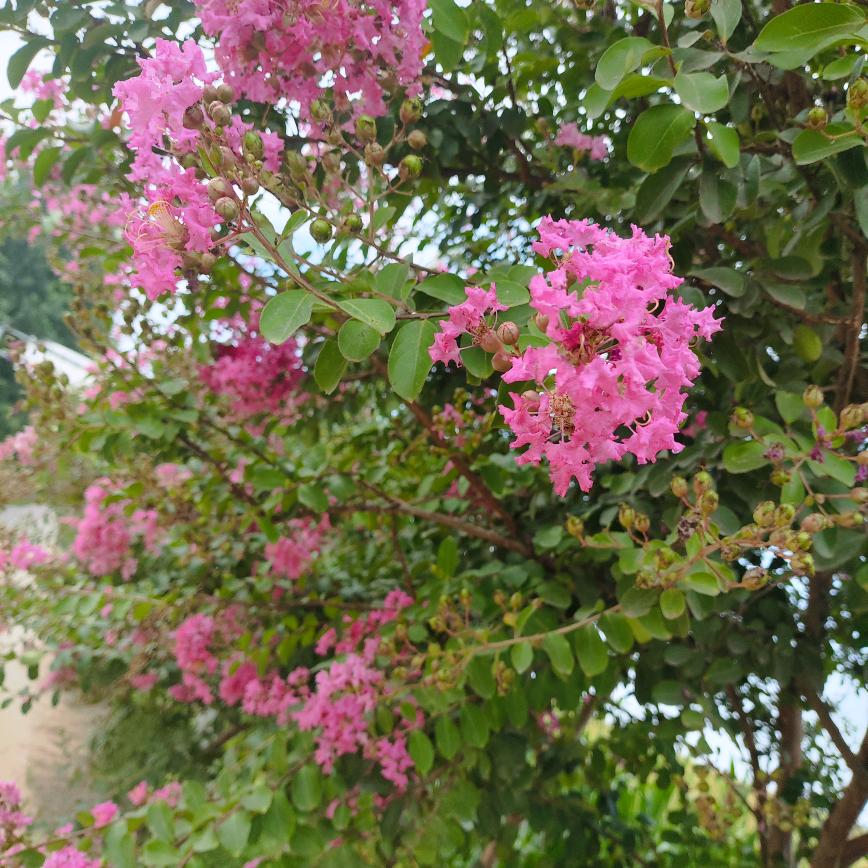 平平淡淡