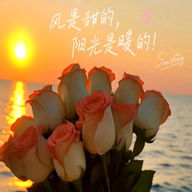 $入了心动了情$