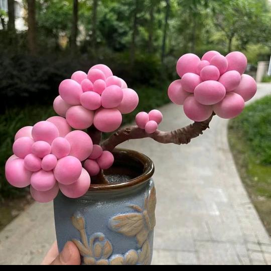 0℃度