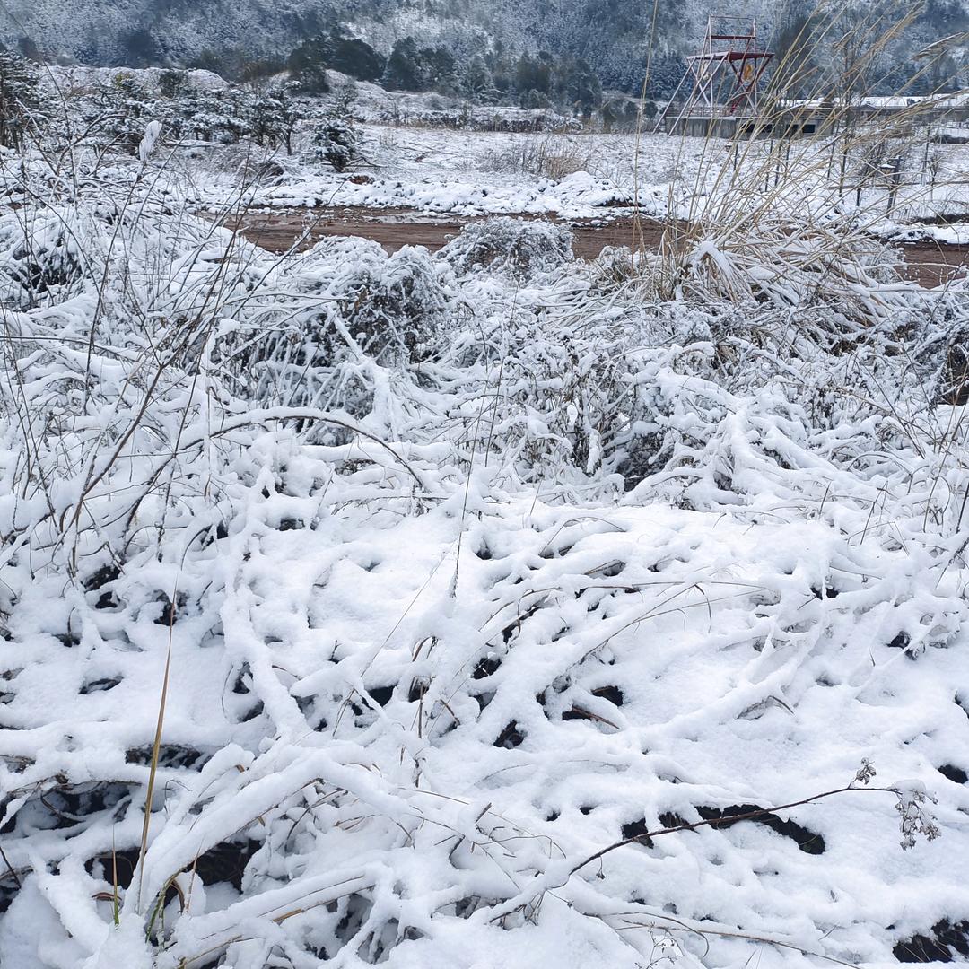 再热的水也会冰💥🔥