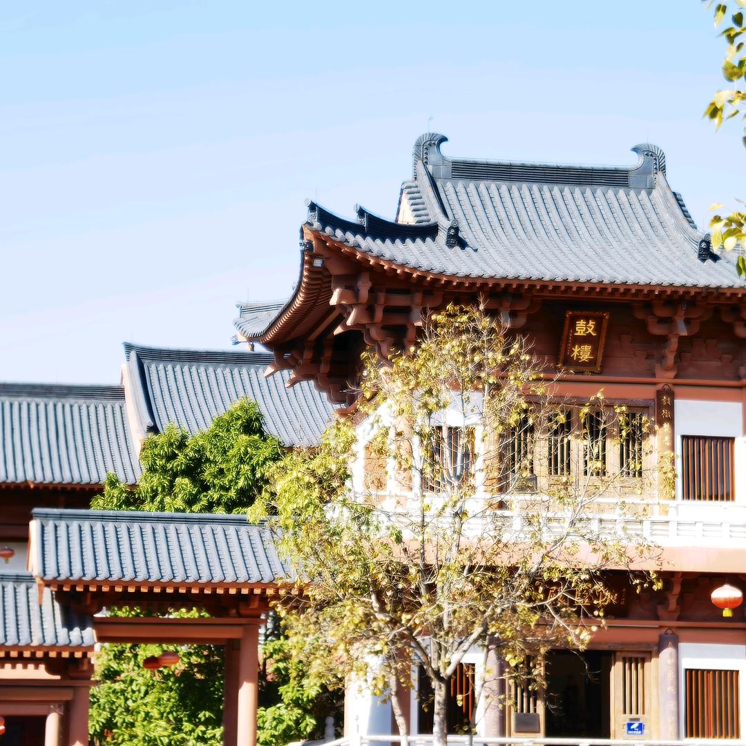 谛听