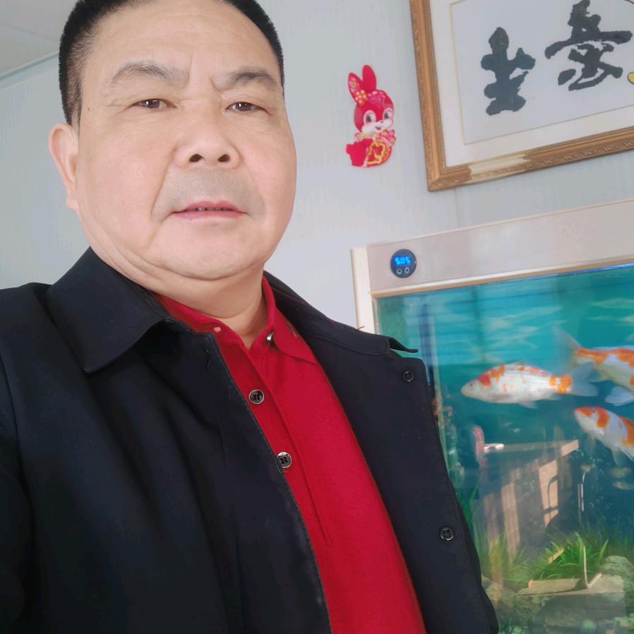 周村金世佳