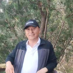 大漠听风