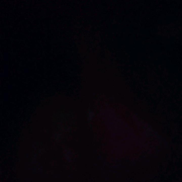 一地鸡毛的生活