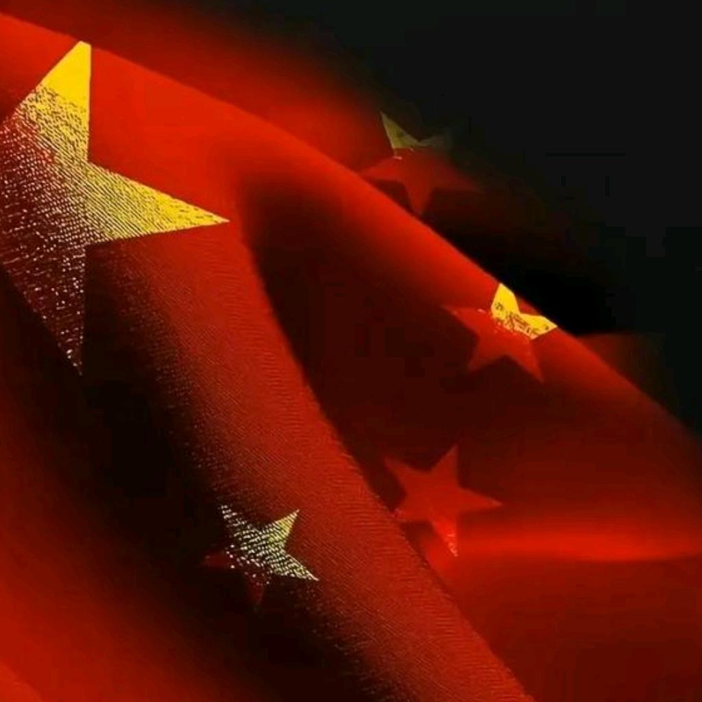 ༄༊࿆♡ ┎┈永不言弃ོྂཾ࿆࿐