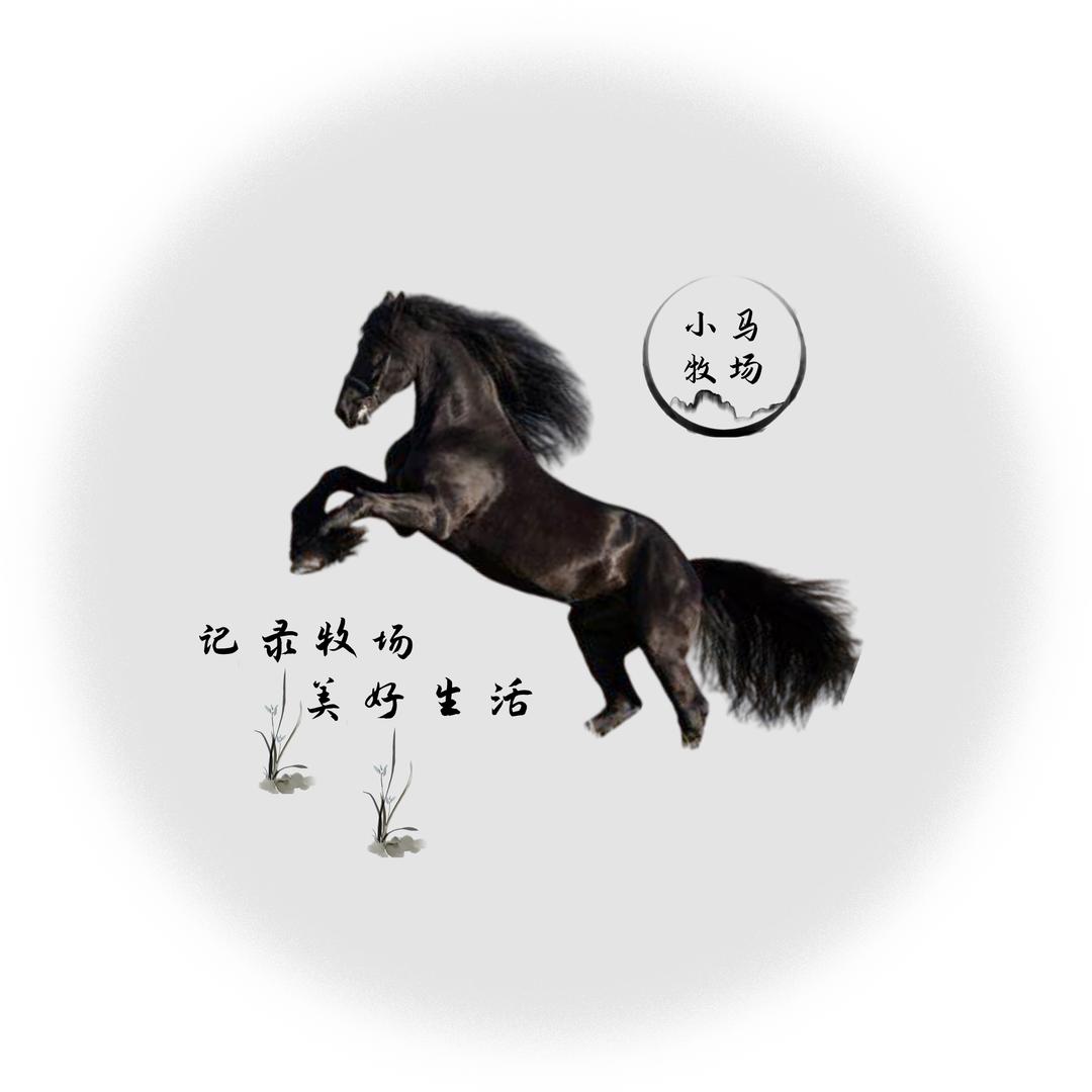 小马牧场