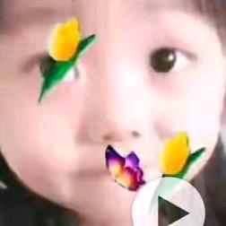 一帆风顺。