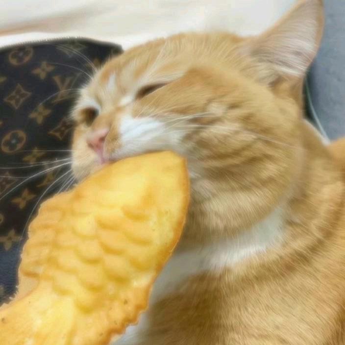 阿拉