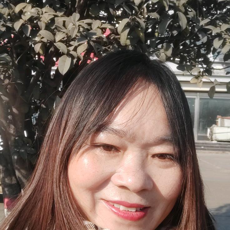 寂寞的夜狐狸