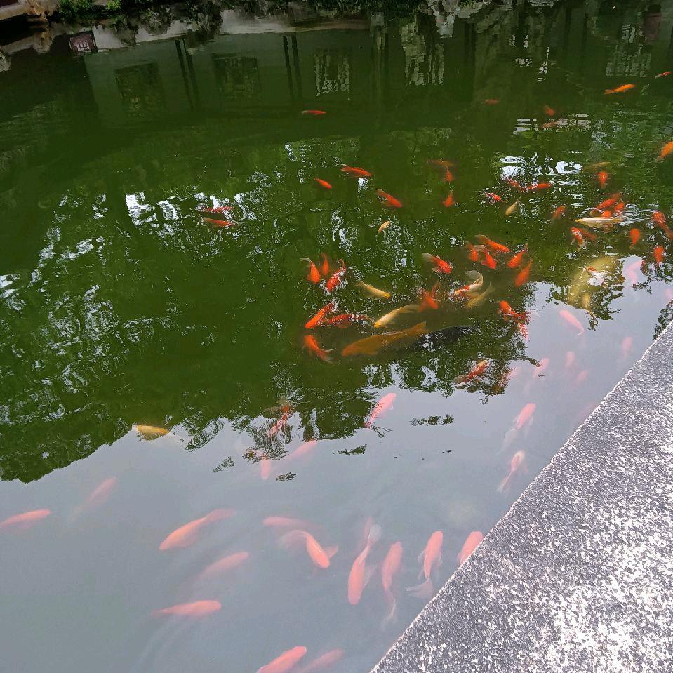 美妈