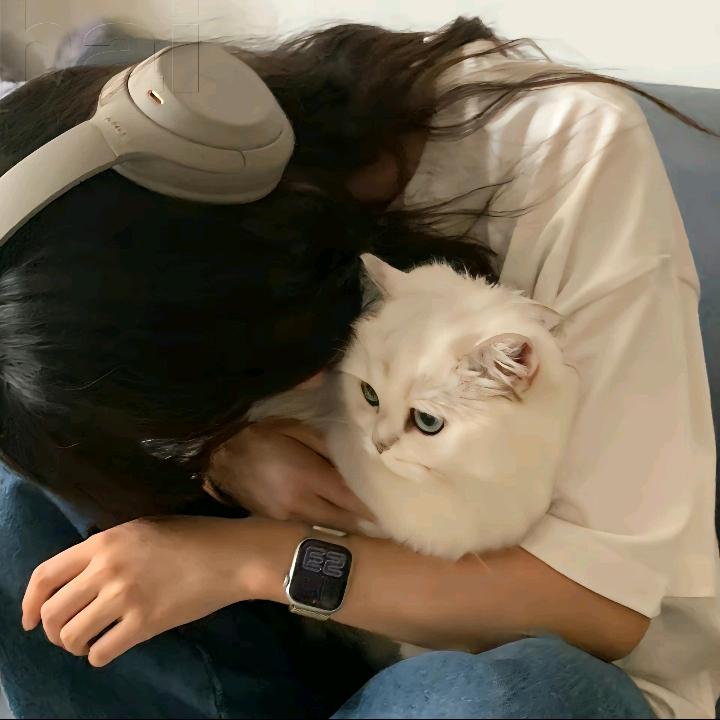 中午吃什么 晚上吃什么 明天吃什么