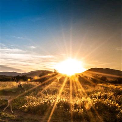 头皮抗衰张蓝月1413