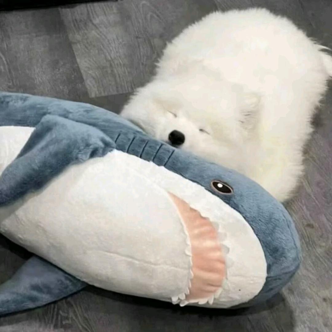 伶月