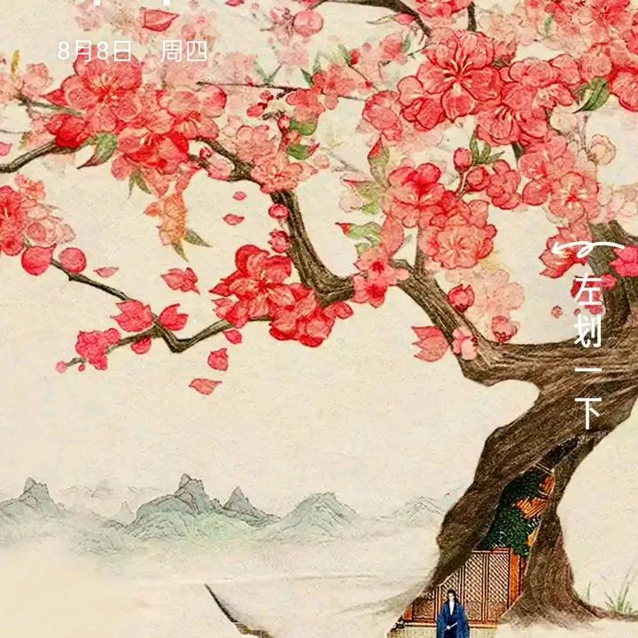 雷毛毛