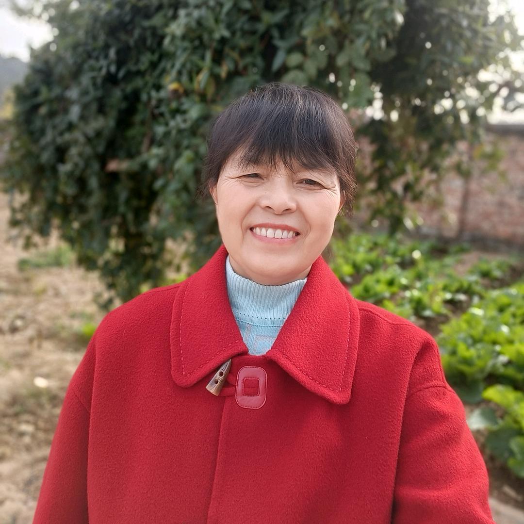 荷花🌺🌺（下午2.30