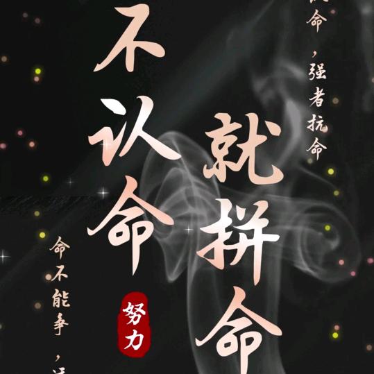 重庆货运刘公子